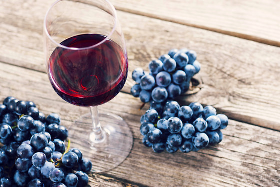 VINPROVNINGAR