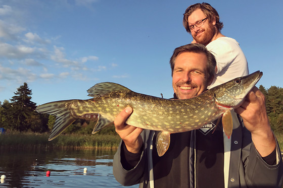 KOMPISFISKE för 1